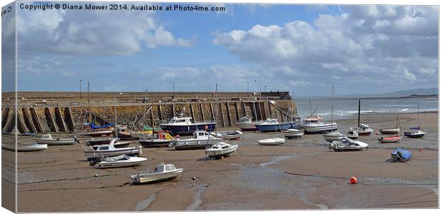 Minehead Harbour Canvas Print by Diana Mower