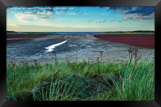 Layers of Colour at Holkham Framed Print by Ian Lewis