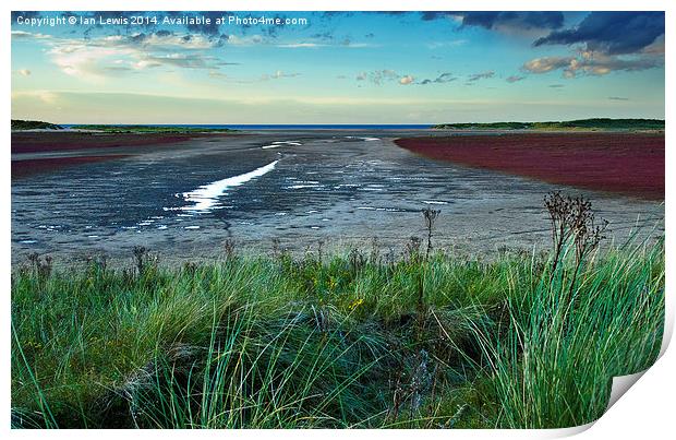 Layers of Colour at Holkham Print by Ian Lewis