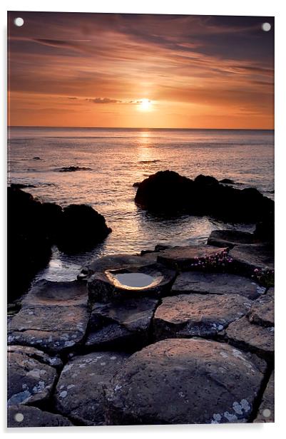 The Giants Causeway Acrylic by Dave Hudspeth Landscape Photography