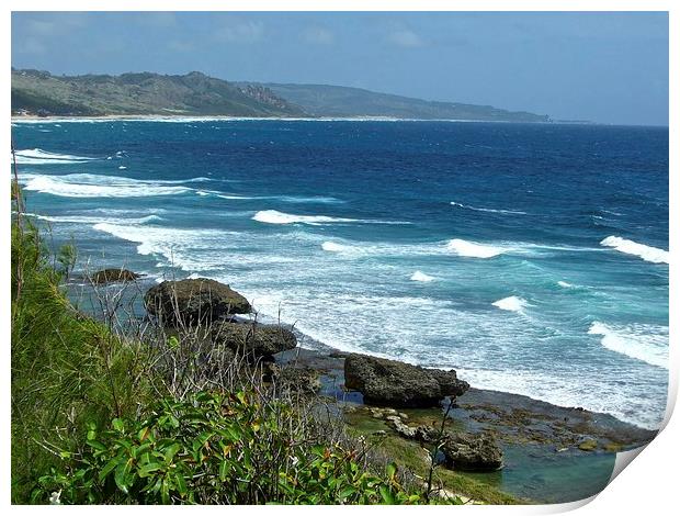 Bathsheba Barbados Print by steve akerman