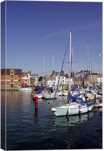 JST2979 Yachts at rest Canvas Print by Jim Tampin