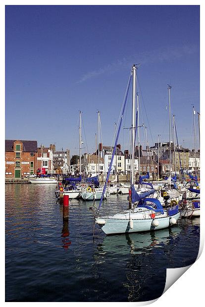JST2979 Yachts at rest Print by Jim Tampin