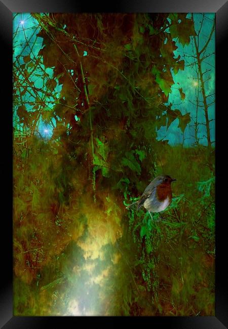 Robins Nest. Framed Print by Heather Goodwin