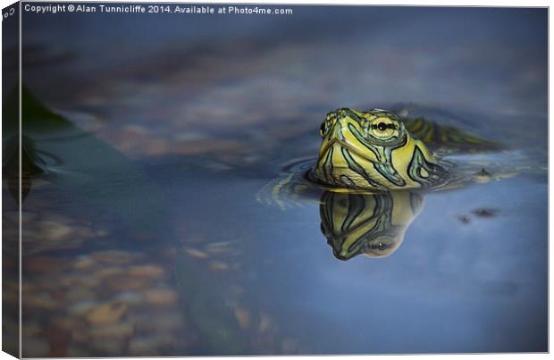 reflections of a terrapin Canvas Print by Alan Tunnicliffe