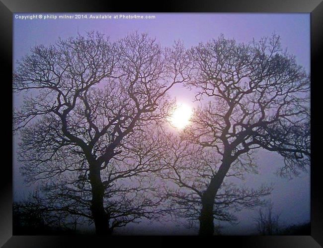 Sun And Mist Framed Print by philip milner