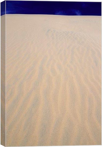 Dune Skies Canvas Print by Brian  Raggatt