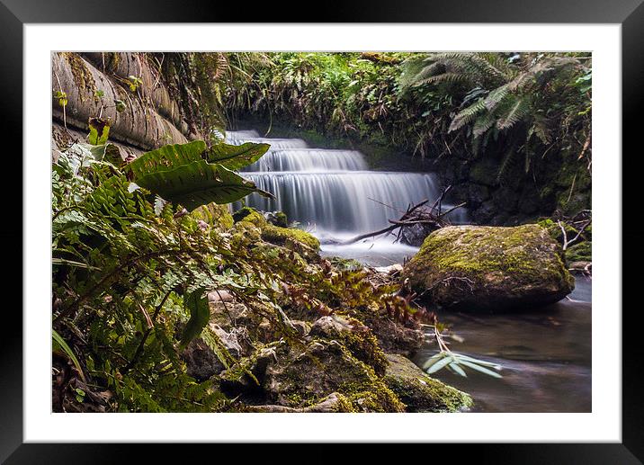 Brockhill School Park Waterfall Framed Mounted Print by David Shackle