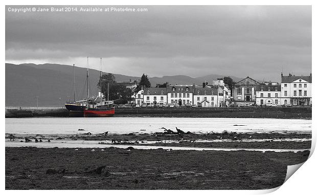 Inveraray and The Arctic Penguin Print by Jane Braat