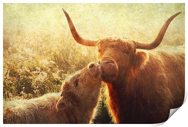 Mammy Love. Highlands Trossachs. Scotland Print by Jenny Rainbow