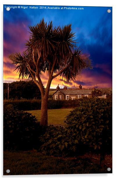 Palm Tree Acrylic by Nigel Hatton