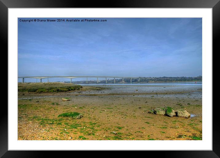 River Orwell Framed Mounted Print by Diana Mower