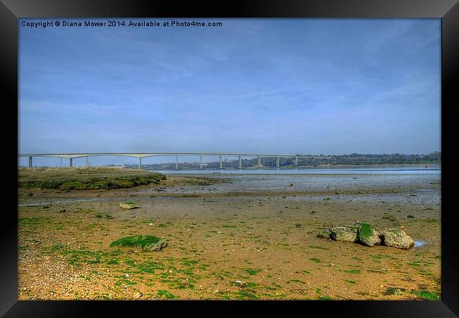 River Orwell Framed Print by Diana Mower