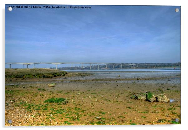 River Orwell Acrylic by Diana Mower