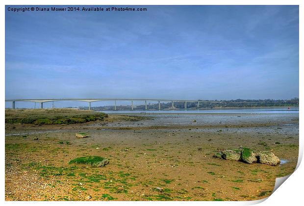 River Orwell Print by Diana Mower