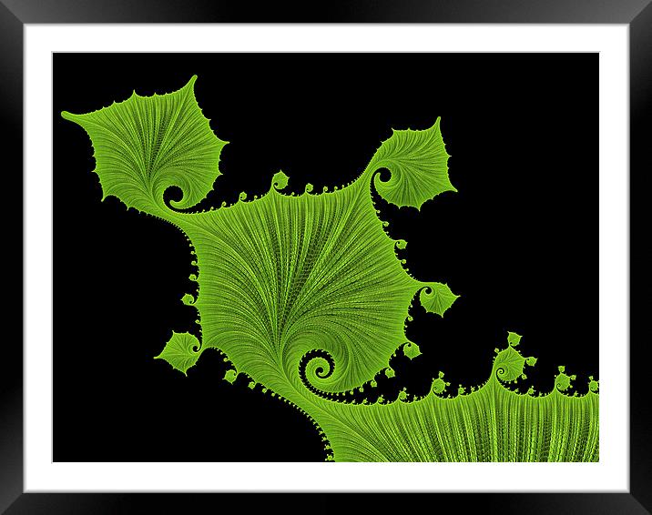 Green floral fractal art Framed Mounted Print by Matthias Hauser