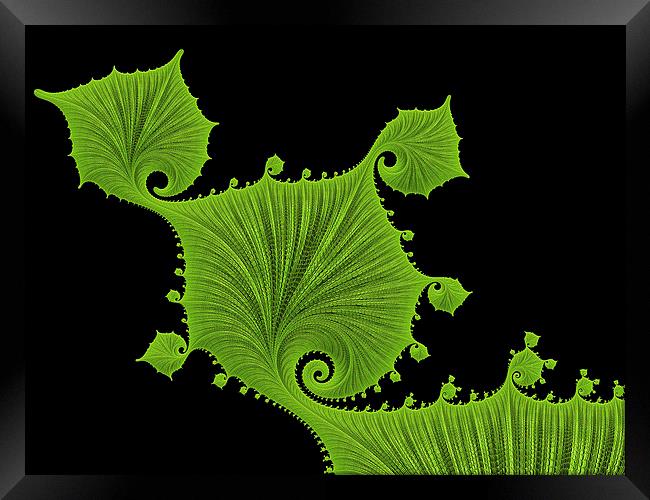 Green floral fractal art Framed Print by Matthias Hauser