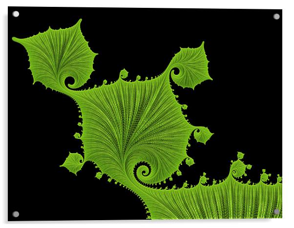 Green floral fractal art Acrylic by Matthias Hauser