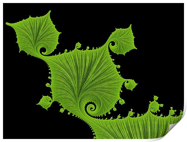 Green floral fractal art Print by Matthias Hauser