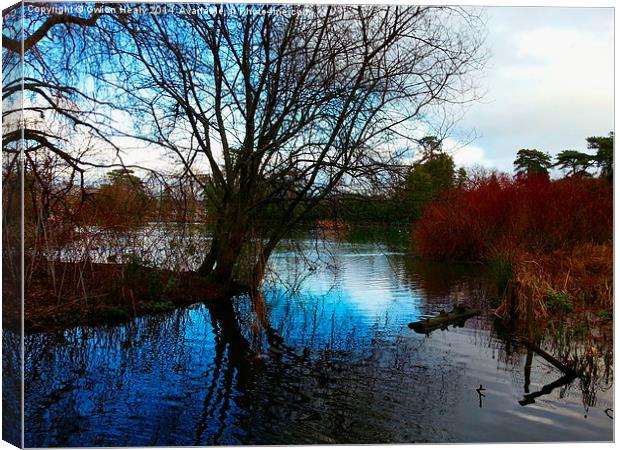Brynmill park pond Canvas Print by Gwion Healy