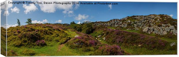 Heather and Granite Canvas Print by Tracey Yeo