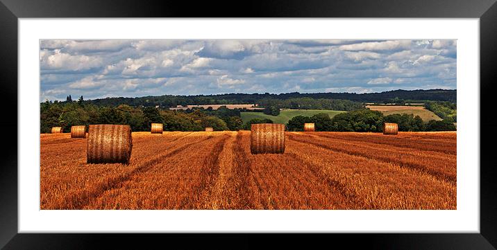 Harvest Field Framed Mounted Print by Joyce Storey