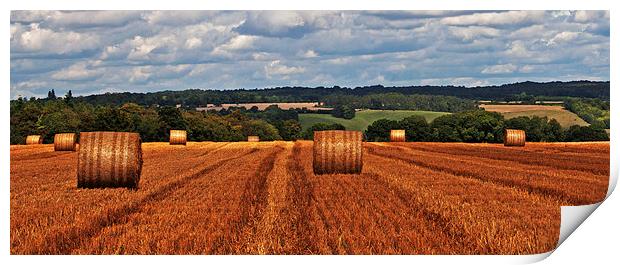 Harvest Field Print by Joyce Storey