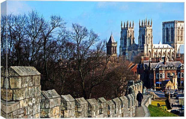 From the City Wall Canvas Print by Joyce Storey