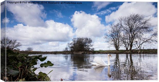Swan on the Stour Canvas Print by Phil Wareham