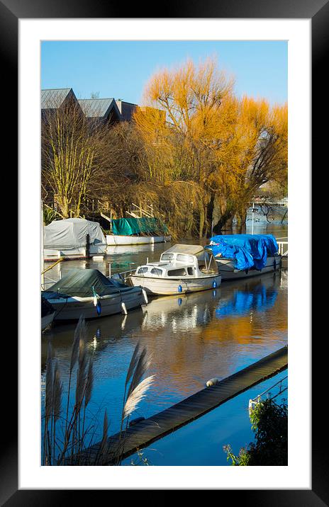 Moored boats Weybridge Surrey Framed Mounted Print by Clive Eariss
