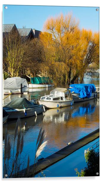 Moored boats Weybridge Surrey Acrylic by Clive Eariss