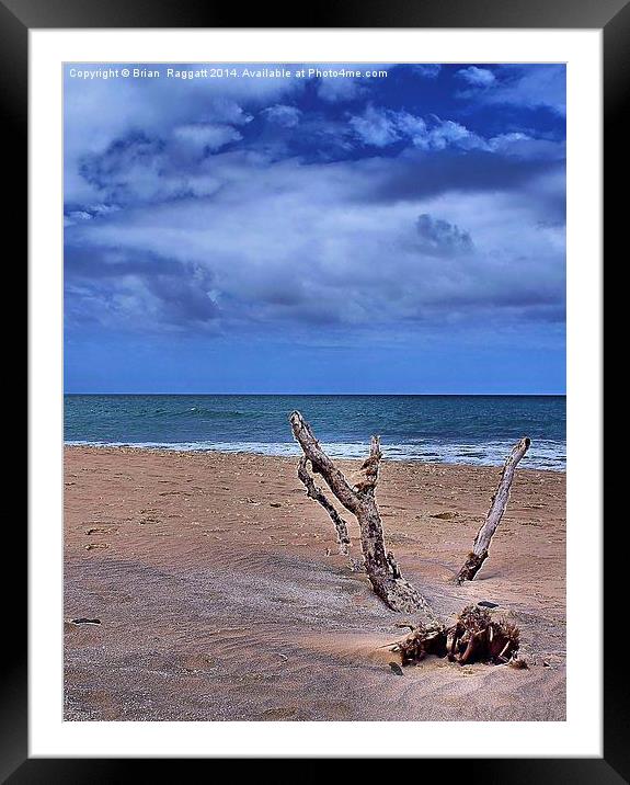 Desert Island Driftwood Framed Mounted Print by Brian  Raggatt