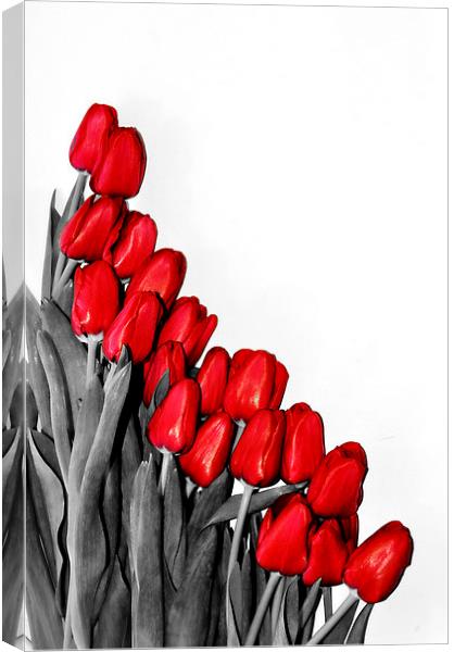 Red Tulips Canvas Print by Gabriela Olteanu