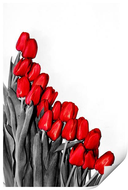 Red Tulips Print by Gabriela Olteanu