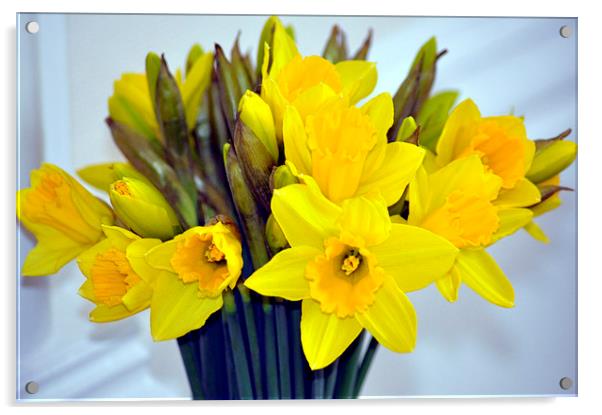 Bunch of Daffodils Acrylic by Gabriela Olteanu