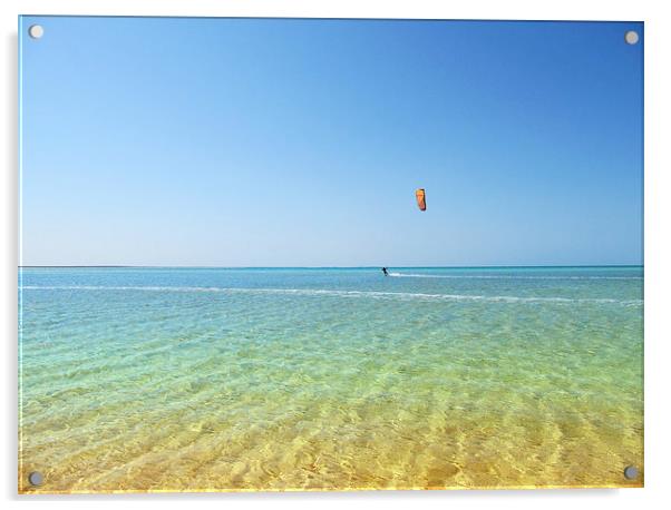 Windsurfer in the Shallows Acrylic by Luke Newman