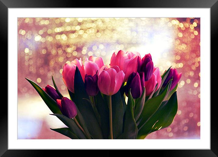 Pink and purple tulips Framed Mounted Print by Gabriela Olteanu