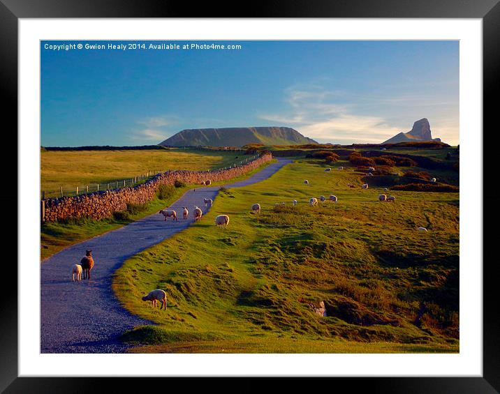 Worms head Framed Mounted Print by Gwion Healy