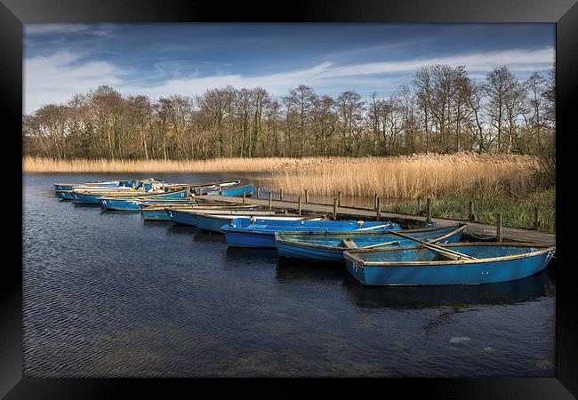 Moored dinghies at Filby Broad Framed Print by Stephen Mole