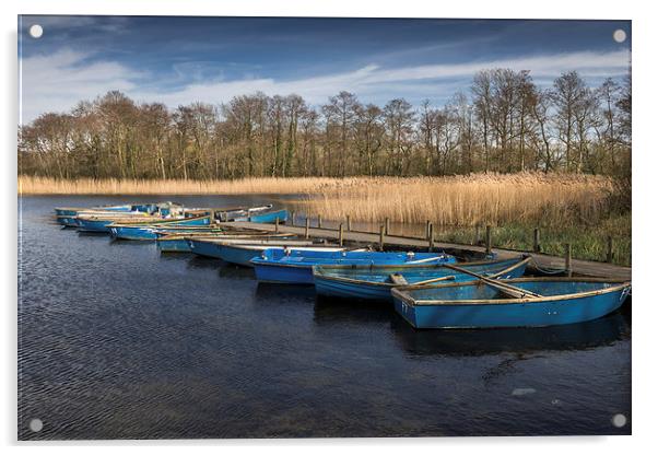 Moored dinghies at Filby Broad Acrylic by Stephen Mole