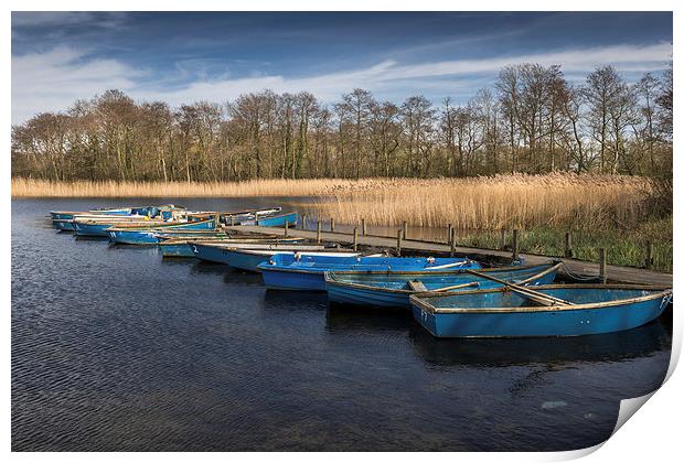Moored dinghies at Filby Broad Print by Stephen Mole