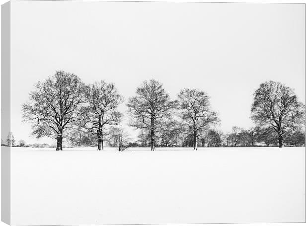Sevenoaks in the Snow Canvas Print by Dawn Cox