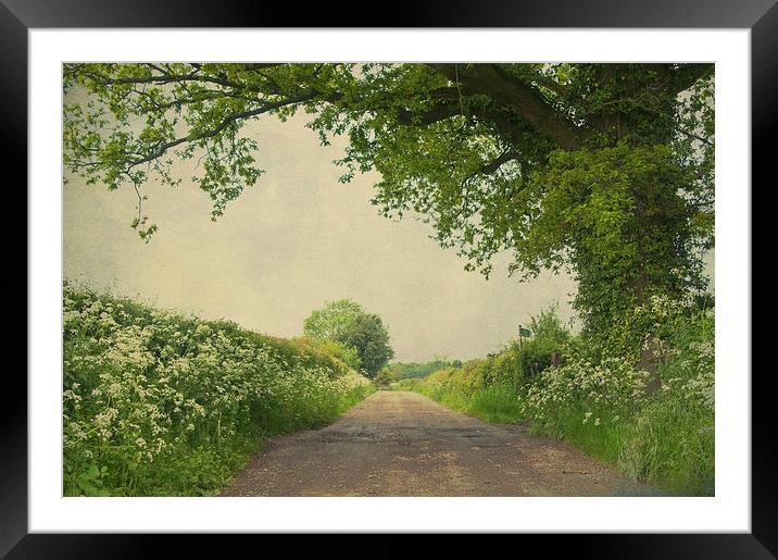 Kent Countrylane Framed Mounted Print by Dawn Cox