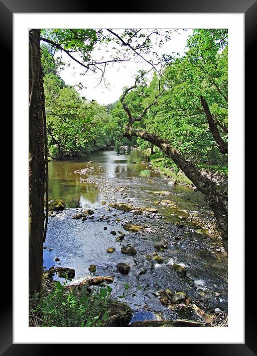 A quiet rural river section Framed Mounted Print by Frank Irwin