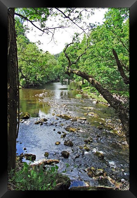 A quiet rural river section Framed Print by Frank Irwin