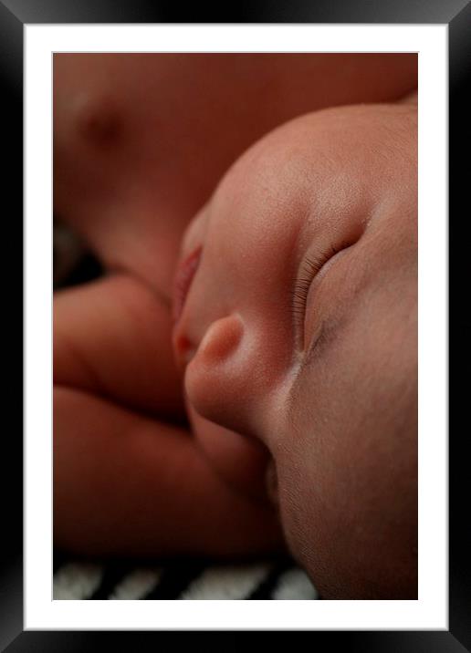 Newborn Slumber Framed Mounted Print by Rebecca Hansen