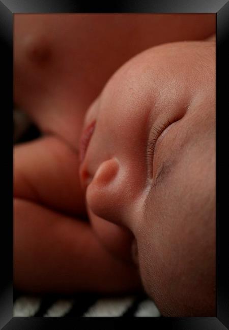 Newborn Slumber Framed Print by Rebecca Hansen