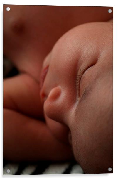Newborn Slumber Acrylic by Rebecca Hansen