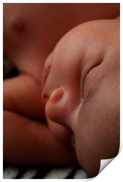 Newborn Slumber Print by Rebecca Hansen