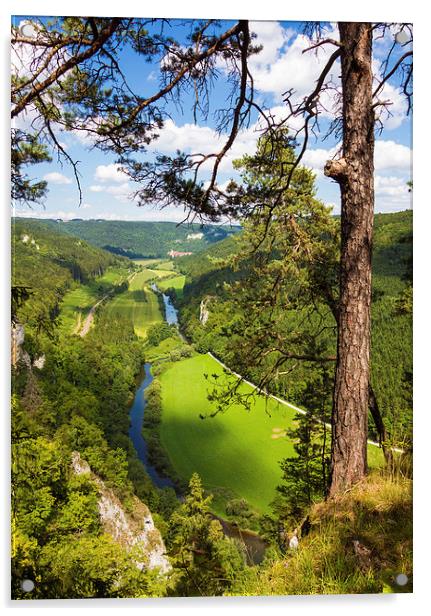 Donautal Danube valley Germany Acrylic by Matthias Hauser